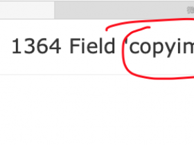 SQLSTATE[HY000]: General error: 1364 Field 'copyimg' doesn't have a default value 解决办法