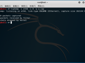 Kali Linux 抓包工具：Tcpdump 使用教程（3）