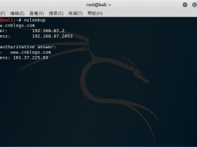 Kali Linux 渗透测试：DNS信息收集工具（4）