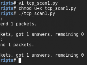 Kali Linux 渗透测试：端口扫描工具 下 TCP全连接（10）