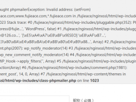 Fatal error: Uncaught phpmailerException: Invalid address: (setFrom) wordpress