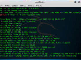 Kali Linux 漏洞分析工具 nmap 教程
