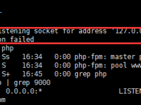 ERROR: unable to bind listening socket for address '127.0.0.1:9000': Address already in use (98) 解决方案