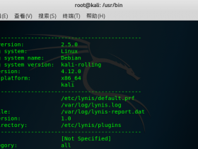 Kali Linux 漏洞分析工具 lynis 教程