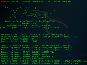 Kali Linux Web程序工具 wpscan 教程