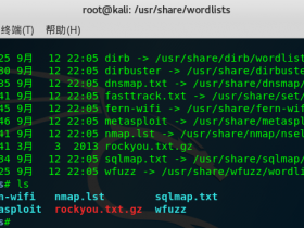 Kali Linux 密码攻击工具 wordlists 教程