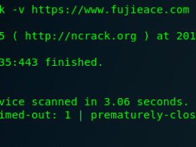 Kali Linux 密码攻击工具 ncrack 教程