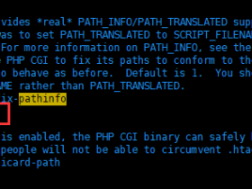 避免恶意脚本攻击，nginx+php-fpm一定要修改php.ini中cgi.fix_pathinfo