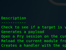 Metasploit 如何生成Payloads（有效载荷）？