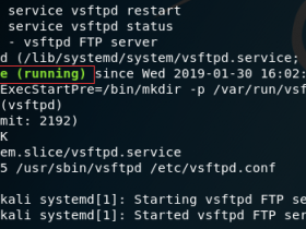 Kali Linux（Debian）安装FTP服务器vsftpd教程