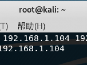 arpspoof: couldn't arp for host 192.168.1.104 原因及解决方法