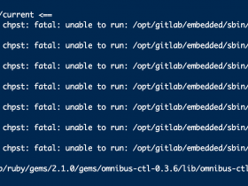 宝塔上GitLab数据迁移修改配置后nginx无法启动 解决方法