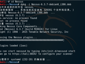 Kali Linux 渗透测试：Nessus下载、安装、使用教程（18）