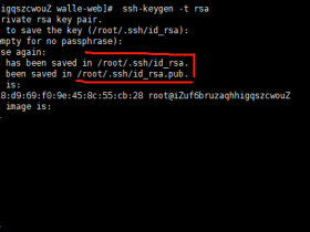 部署两台Linux服务器实现“SSH免密登录”教程