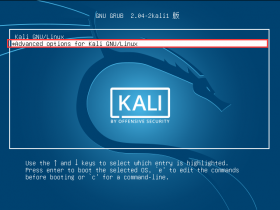 Kali Linux 更新/升级 中断造成“蓝屏“的原因与解决方法