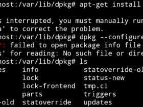 dpkg: error: failed to open package info file '/var/lib/dpkg/status' for reading: No such file or directory 解决方法
